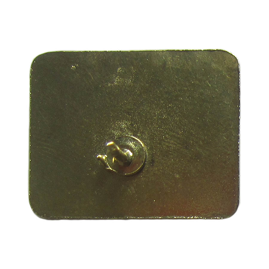 ピンズ NE TIREZ PAS SUR LA SANTE 留め具付き レトロ ピンバッジ