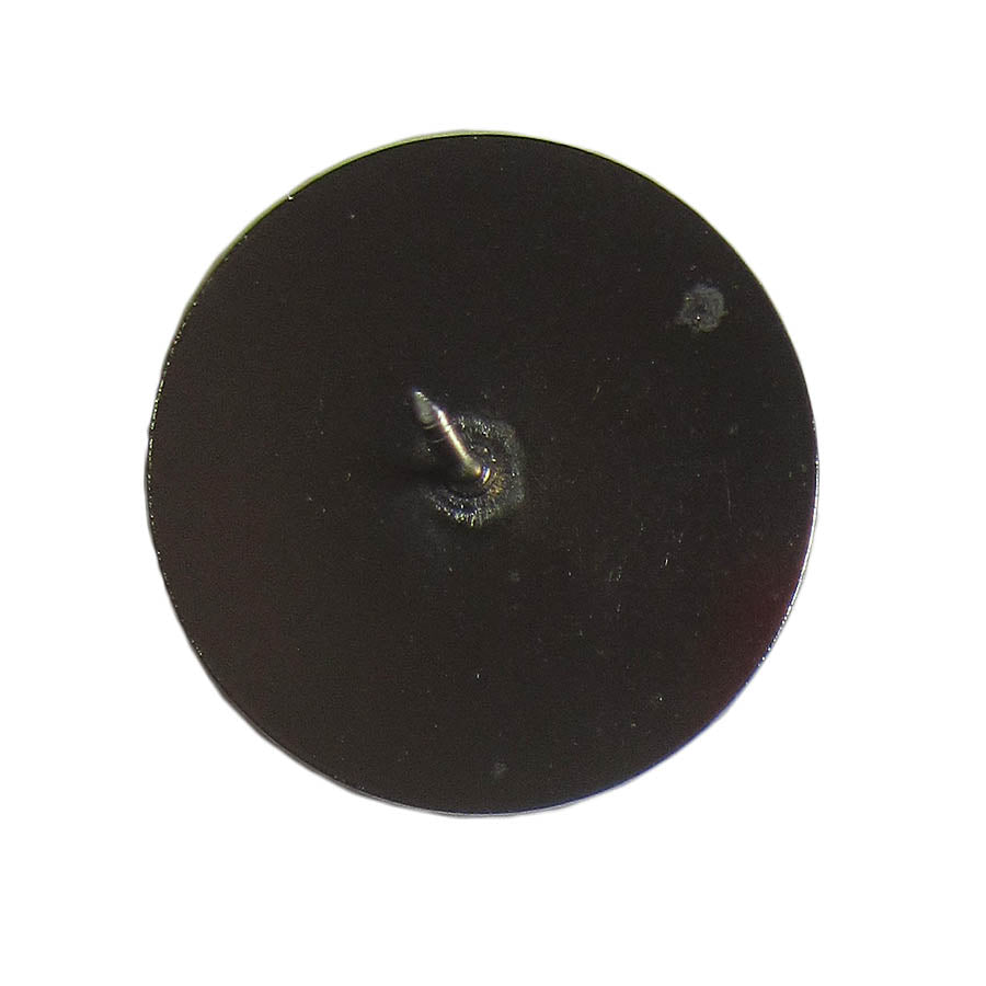 アリゾナ大学 ピンズ SIGILLVM VNIVERSITATIS ARIZONENSIS 留め具付