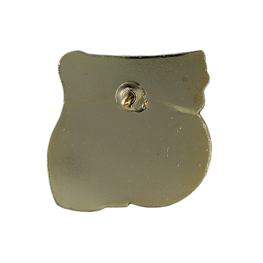 COLORADO RIVER CLASSIC ボウリング ピンズ Order of Elks