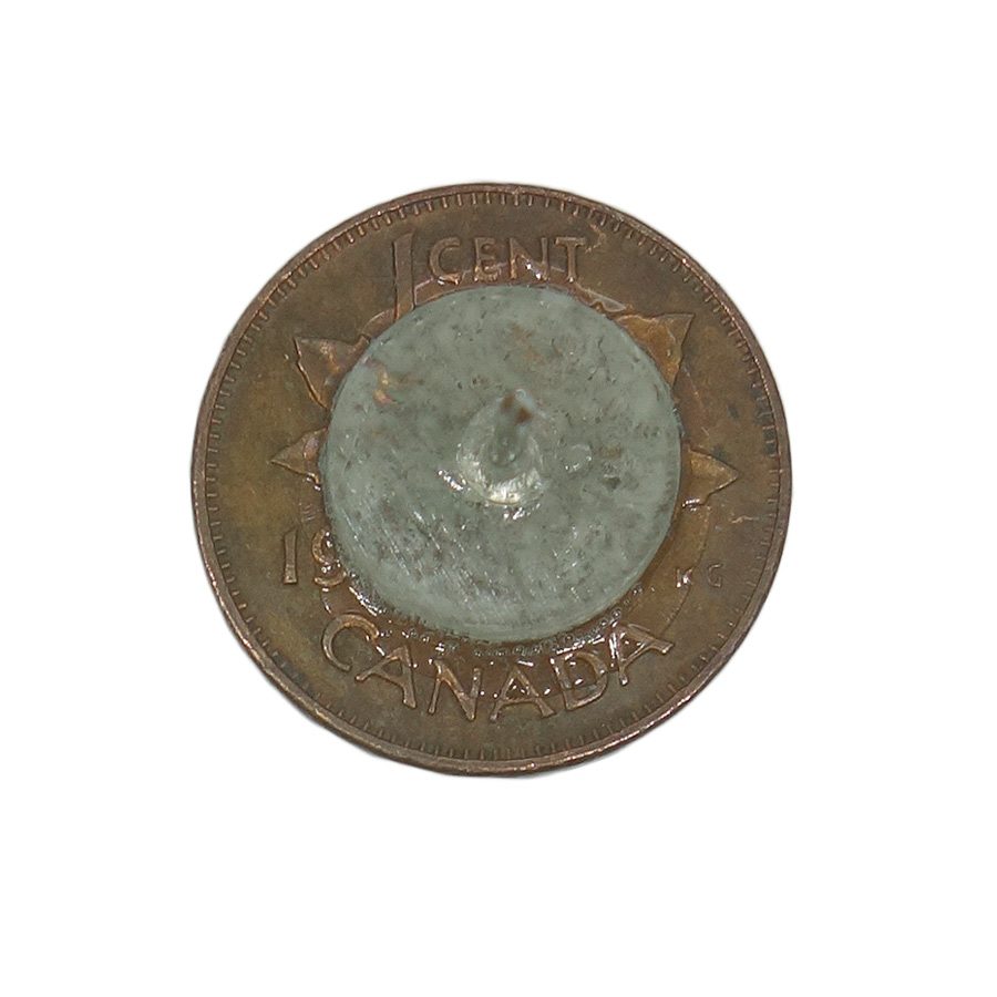 カナダ硬貨 リメイク ピンズ コイン 留め具付き レトロ