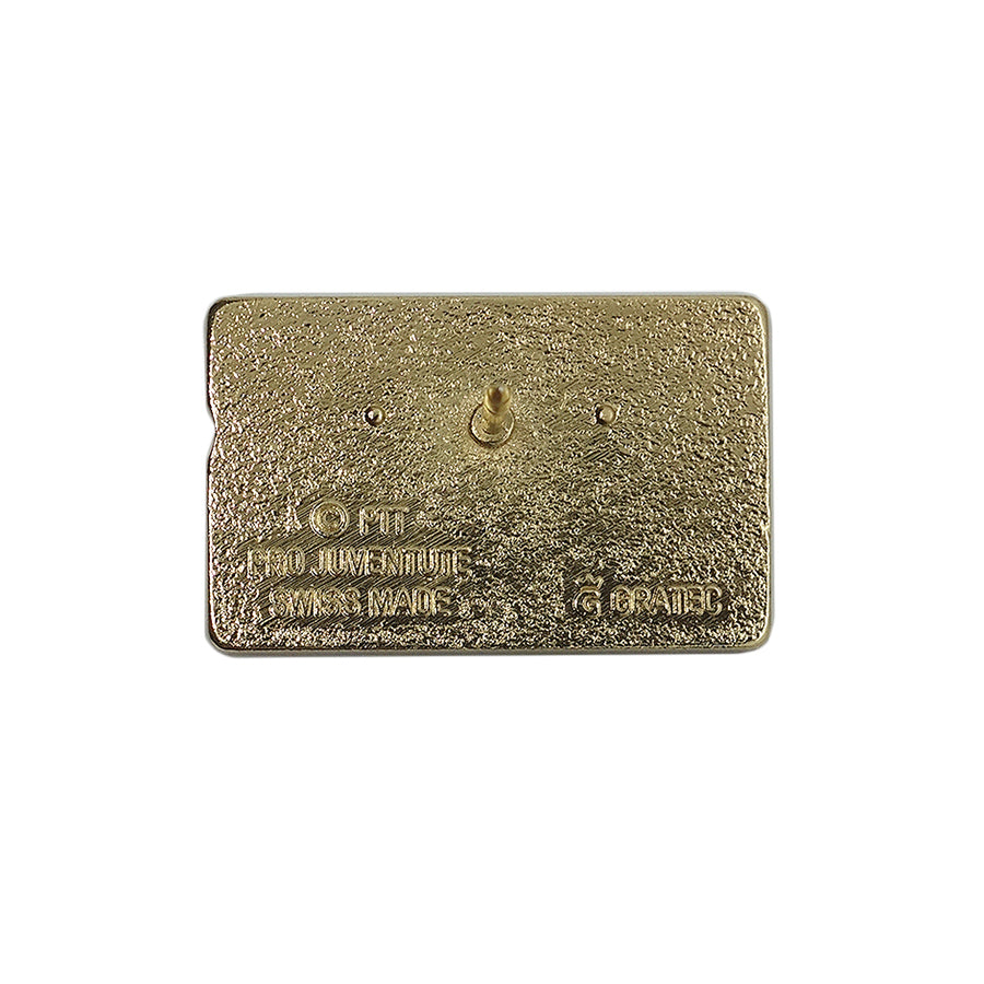 taxcard ピンズ スイス