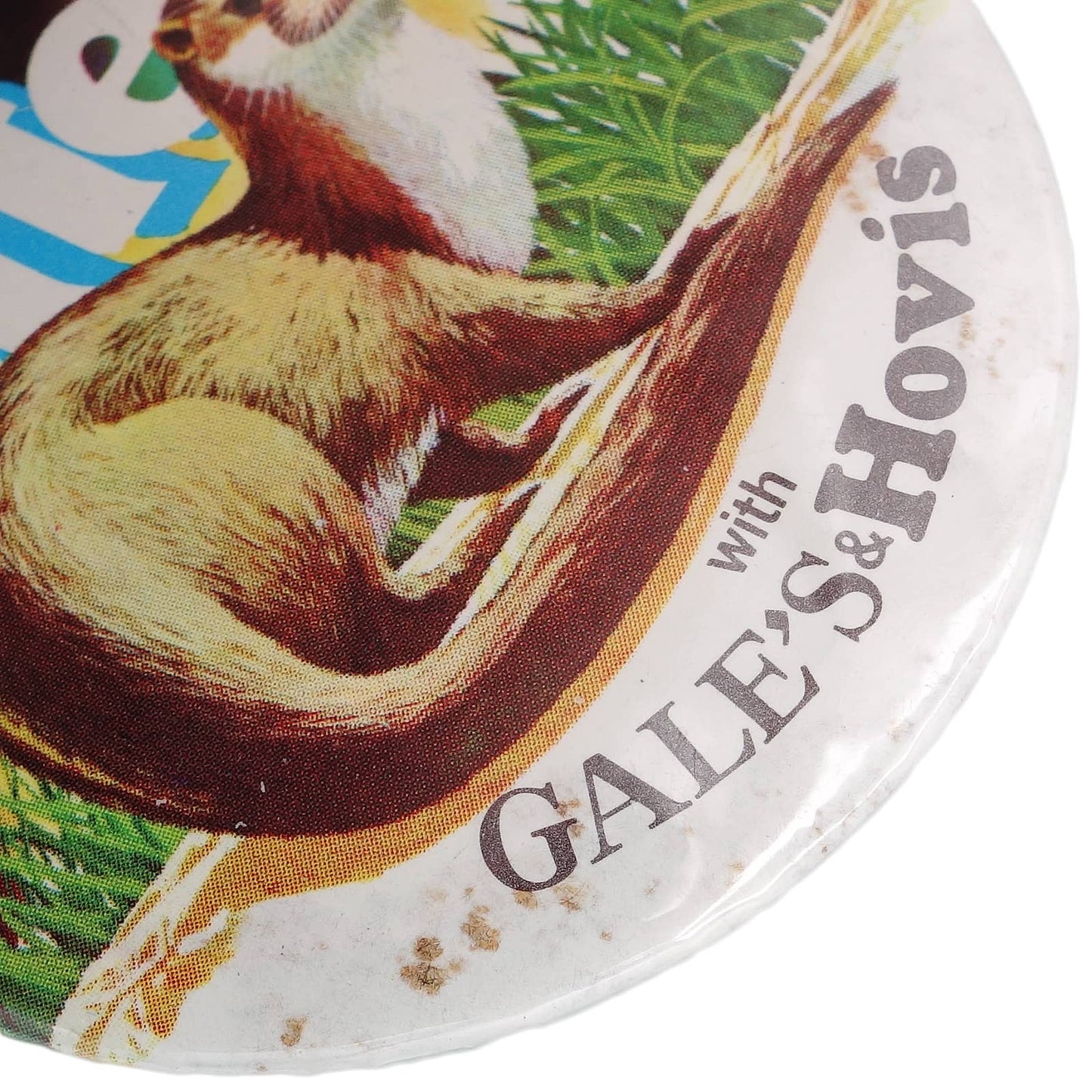 I Helped Save The Otter カワウソ保護キャンペーン 缶バッジ バッチ