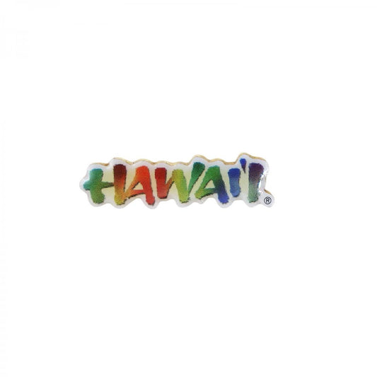 HAWAII ピンズ ハワイ 留め具付き