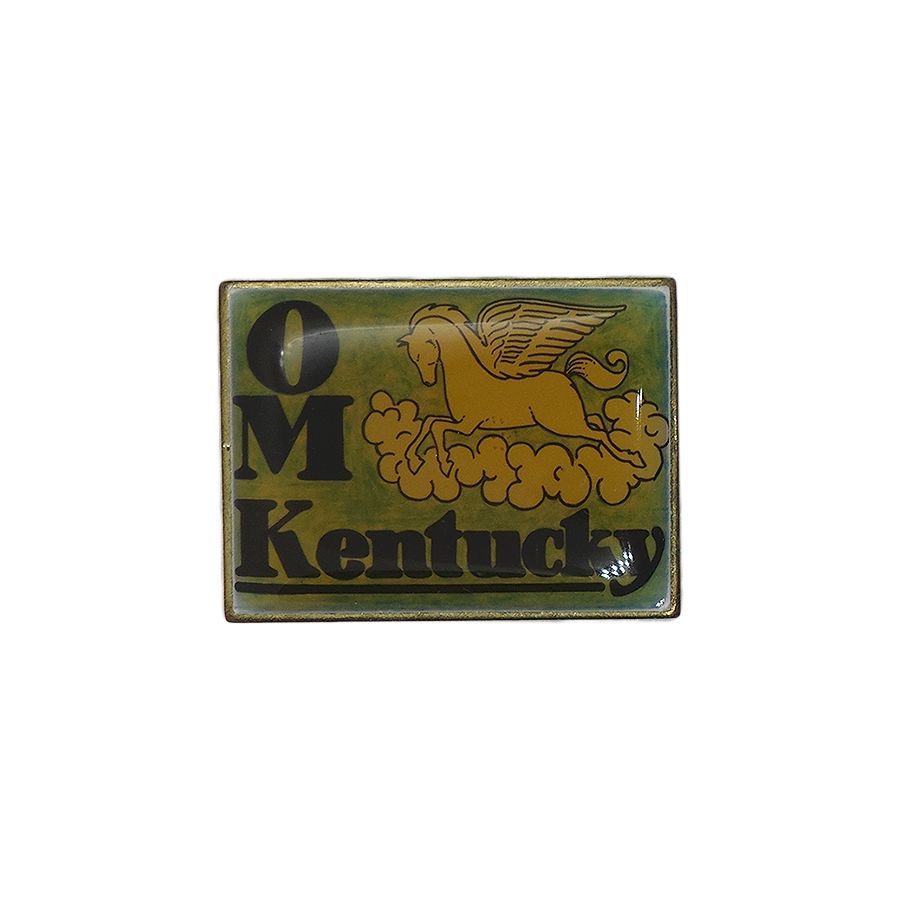 Kentucky ODYSSEY OF THE MIND ピンズ ペガサス コレクター ビンテージ