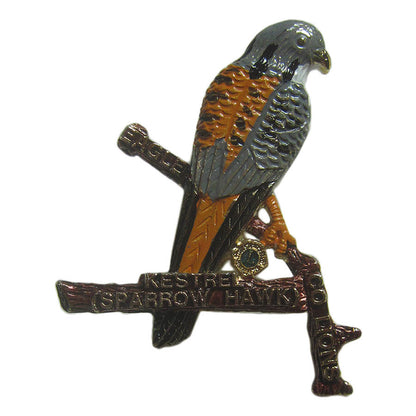 ピンズ 鷹 ライオンズクラブ コロラド EAGLE HAWK 留め具付き レトロ ピンバッジ