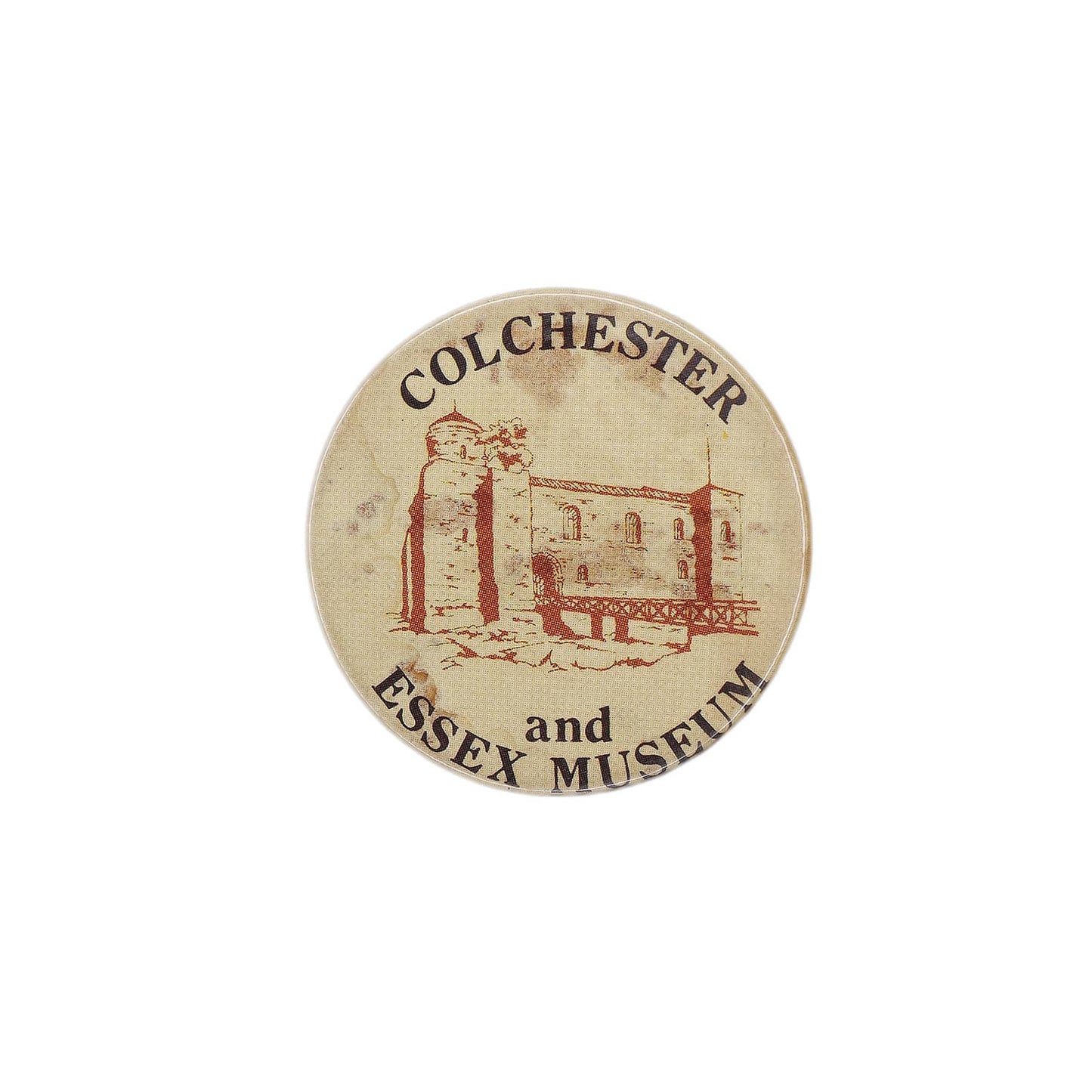 COLCHESTER and ESSEX MUSEUM コルチェスター博物館 バッジ バッチ