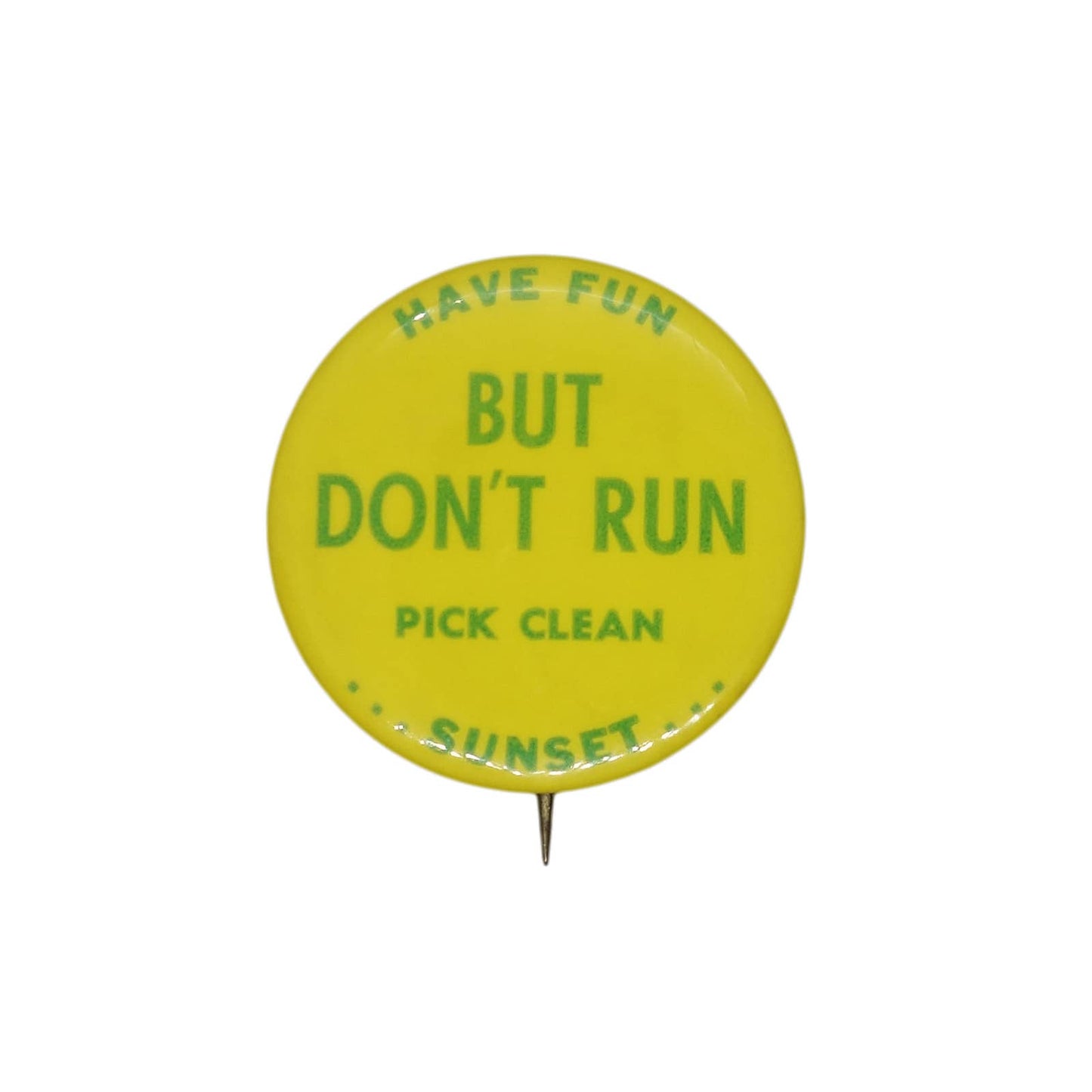 Have Fun But Don't Run Pick Clean Sunset 缶バッジ バッチ