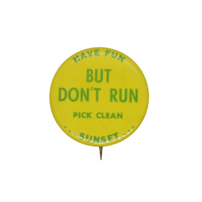 Have Fun But Don't Run Pick Clean Sunset 缶バッジ バッチ
