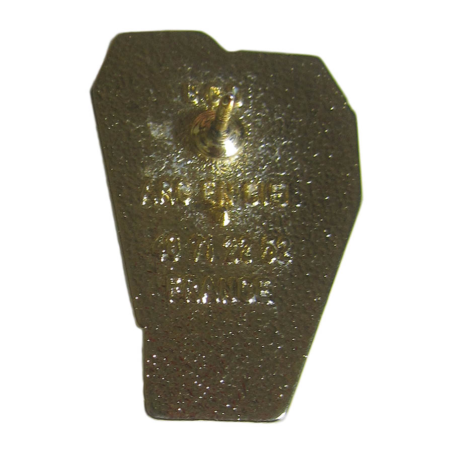 ピンズ LE PERE 100 留め具付き レトロ