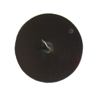 アリゾナ大学 ピンズ SIGILLVM VNIVERSITATIS ARIZONENSIS 留め具付