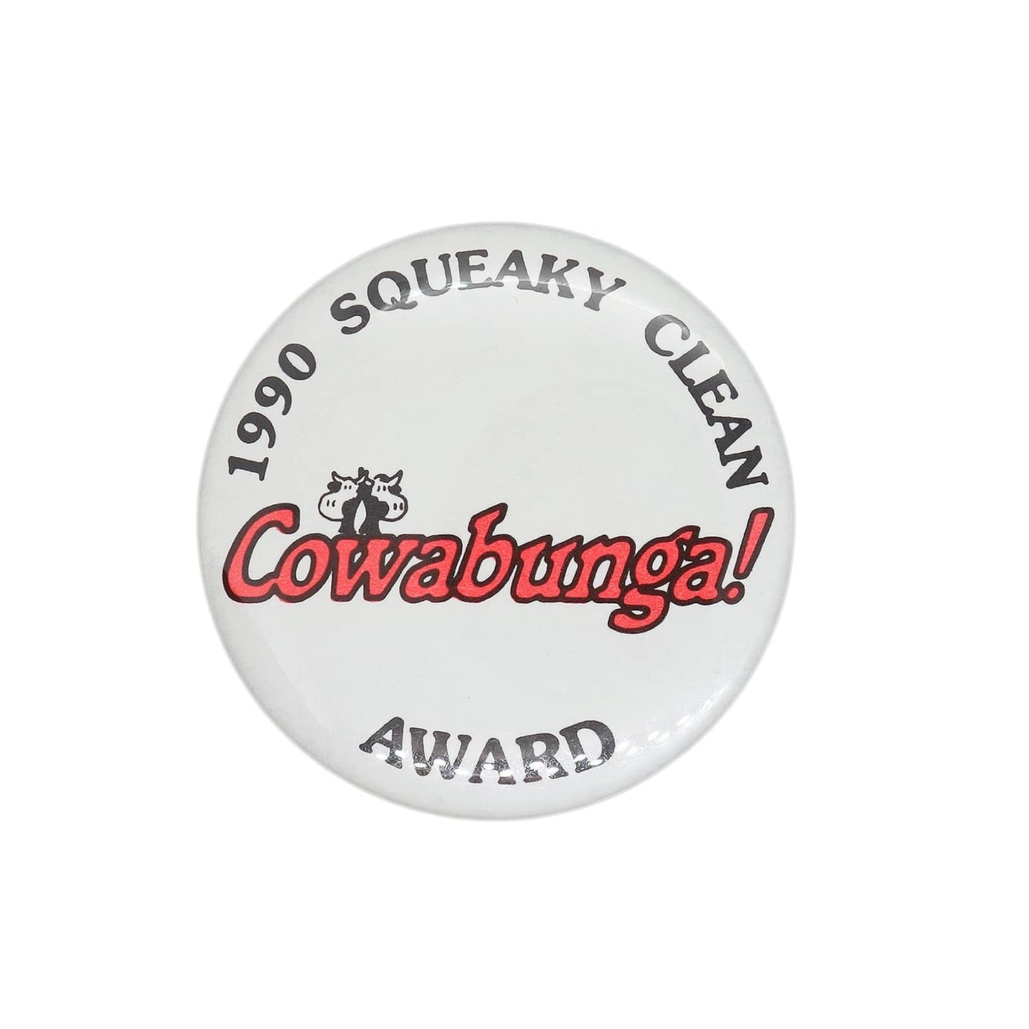 1990 SQUEAKY CLEAN AWARD 缶バッジ Cowabunga!