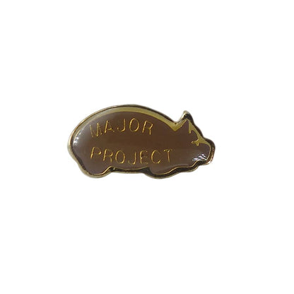 MAJOR PROJECT ピンズ 留め具付き
