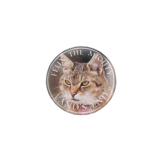 FELIX THE MIGHTY 猫 缶バッジ バッチ