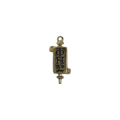 Phi Eta Sigma ピンズ 留め具付き