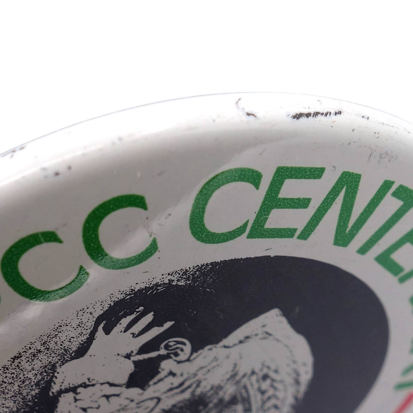 NSPCC CENTENARY 1984 缶バッジ バッチ 全英児童虐待防止協会
