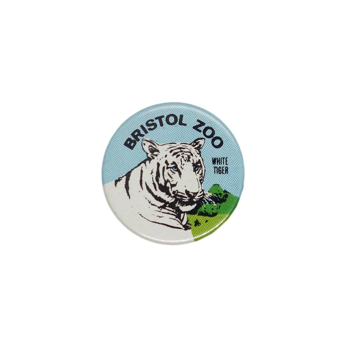 BRISTOL ZOO ホワイトタイガー 缶バッジ バッチ ブリストル動物園