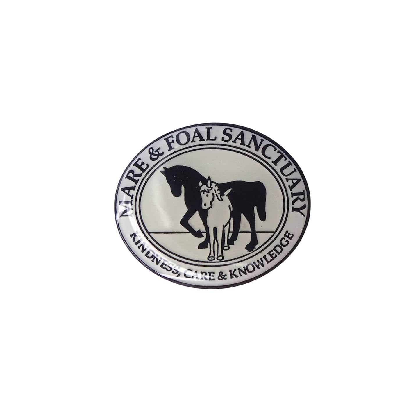 MARE & FOAL SANCTUARY ピンズ 馬やポニーのケアを行う慈善団体
