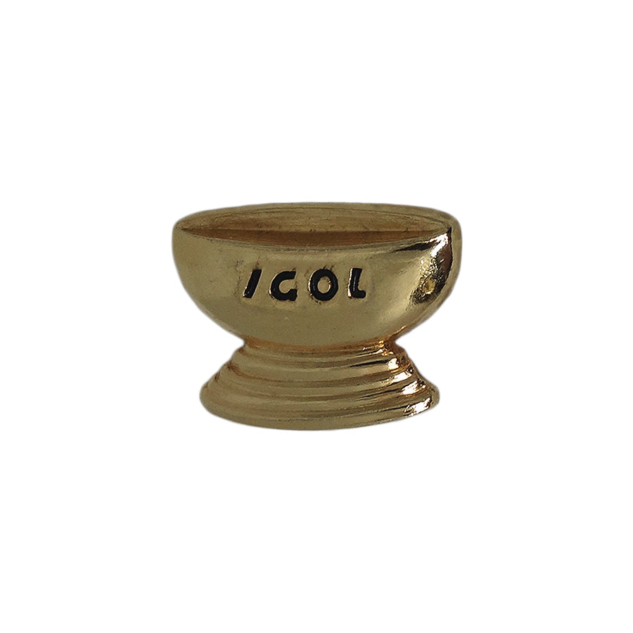 IGOL ピンズ VICTOIRE KAWASAKI 1991 留め具付き