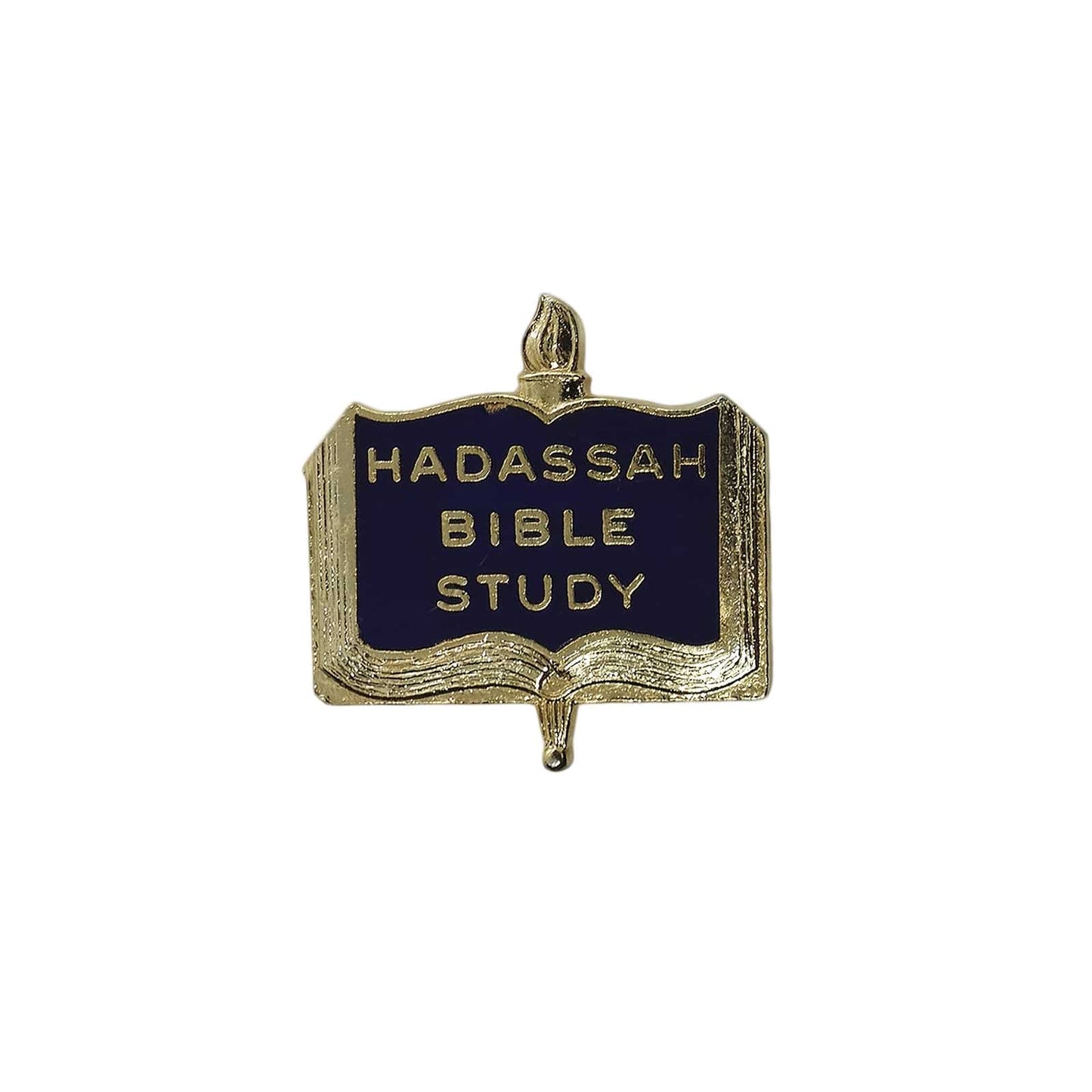 聖書とペン HADASSAH BIBLE STUDY ピンバッジ ブローチ