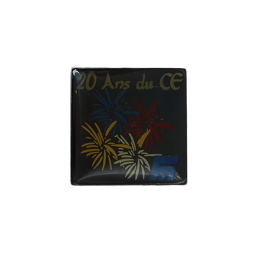 20 Ans du CE ピンズ