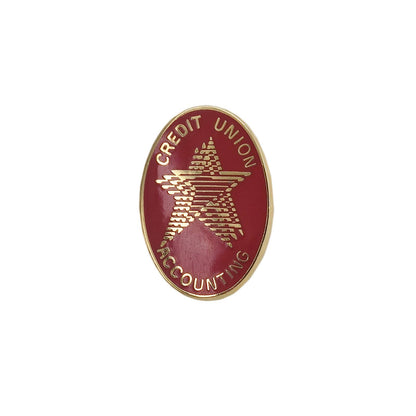 CREDIT UNION ピンズ ACCOUNTING