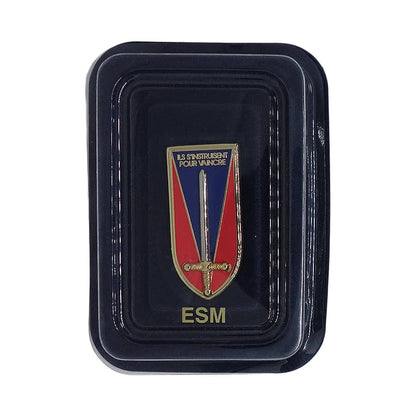 フランス陸軍士官学校 ESM インシグニア ミリタリー ブローチ デッドストック