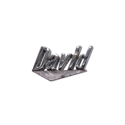 David ネーム ピンズ SWANK