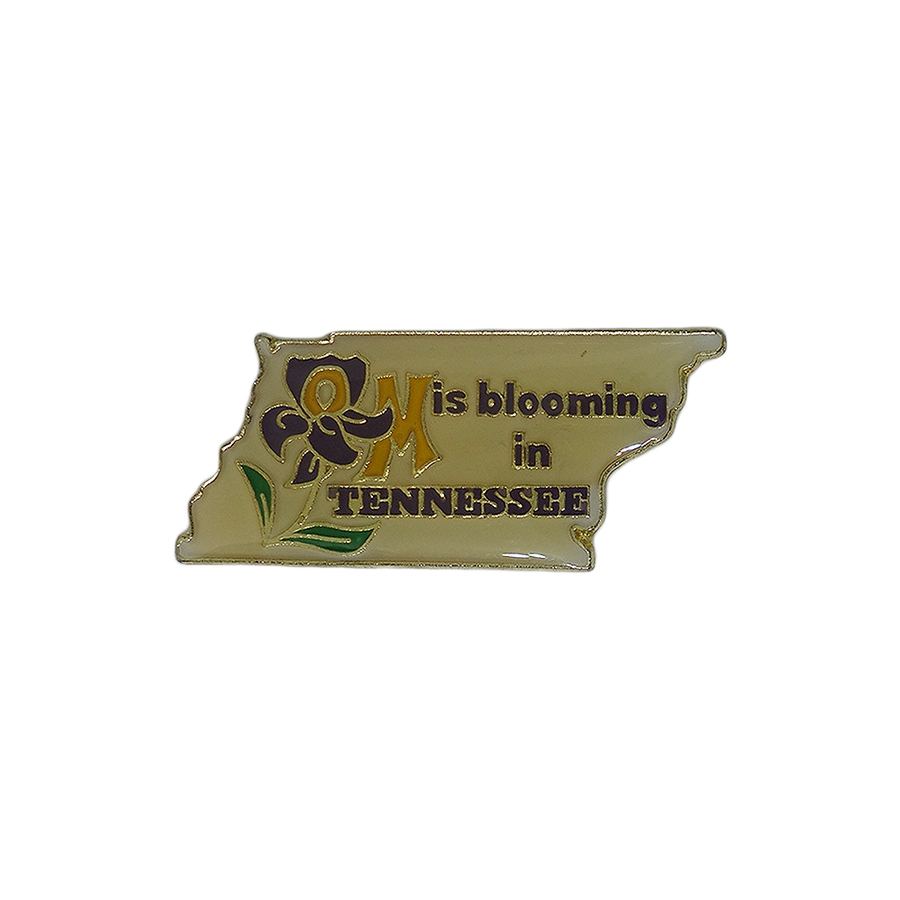 TENNESSEE ODYSSEY OF THE MIND ピンズ テネシー州 地図型