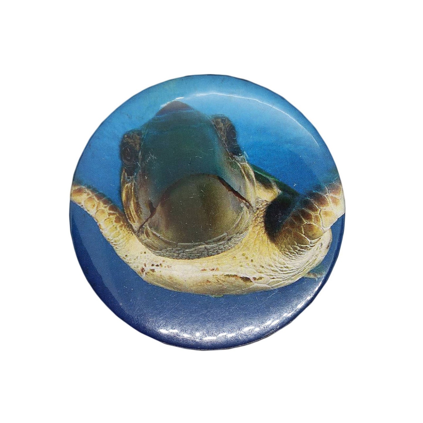 海亀 缶バッジ バッチ