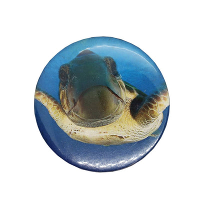 海亀 缶バッジ バッチ