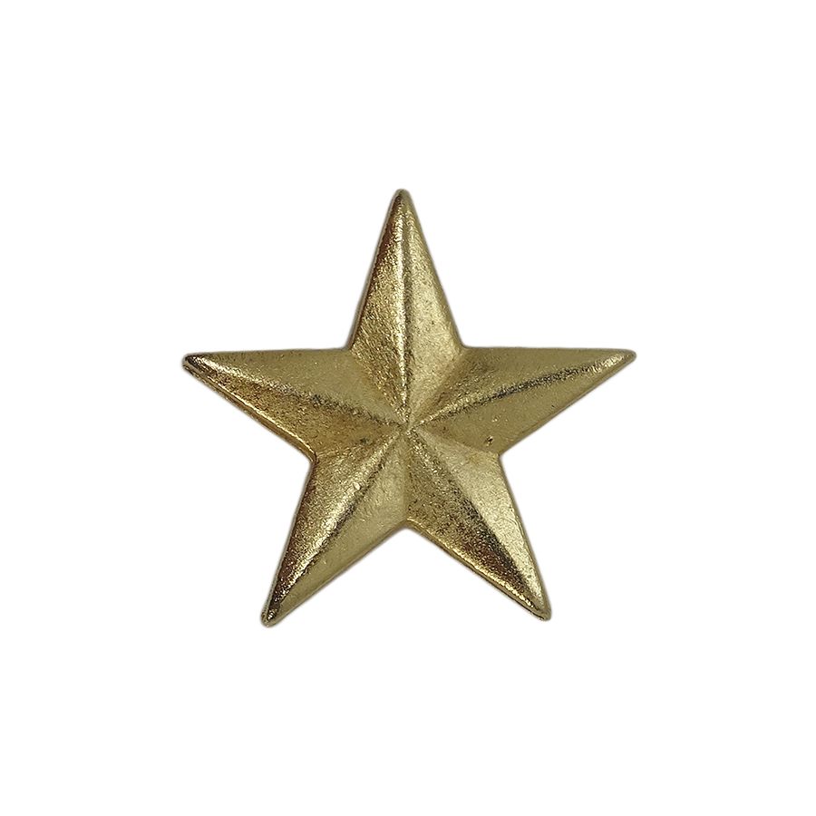 スター ピンズ 星 金色 留め具付き