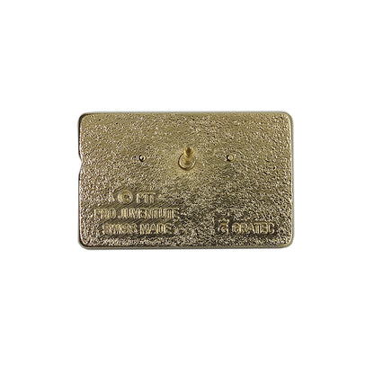 taxcard ピンズ スイス