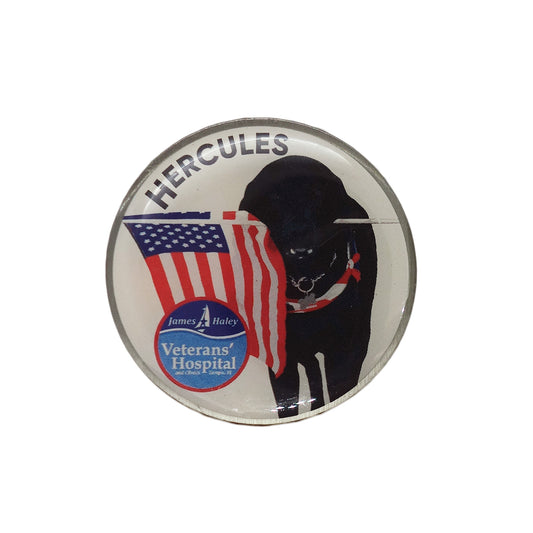 セラピー犬 ヘラクレス ピンズ James A. Haley Veterans' Hospital