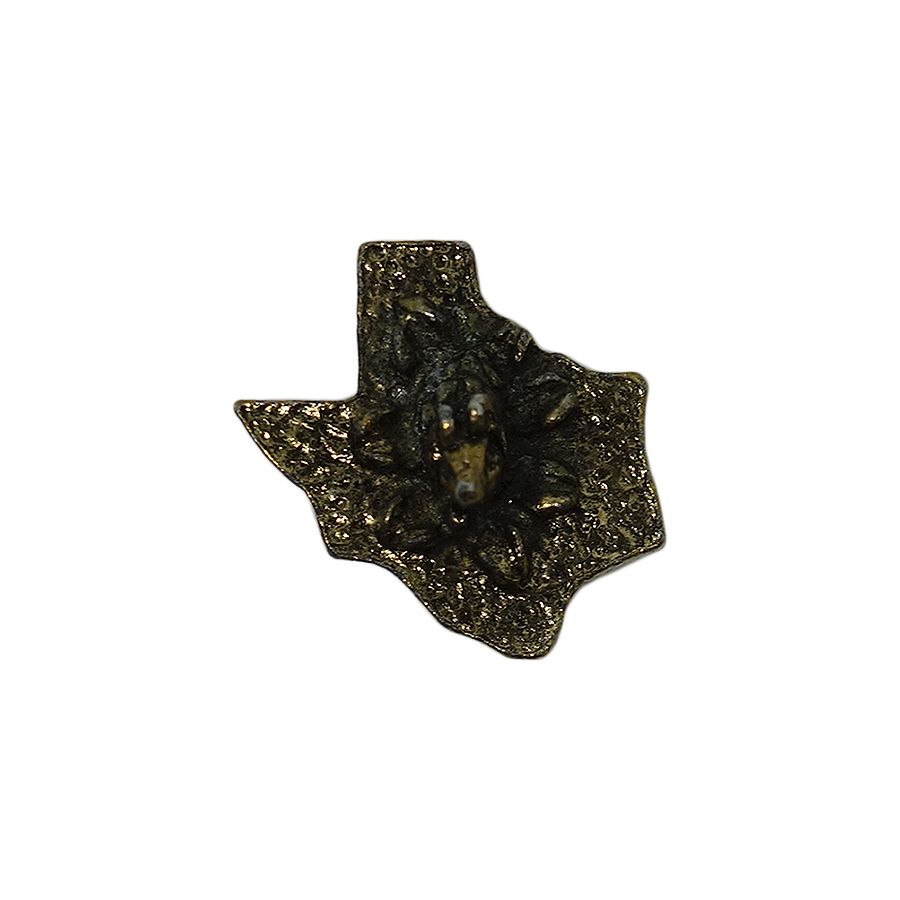 TEXAS アルマジロ ピンズ テキサス州 地図型 留め具付き