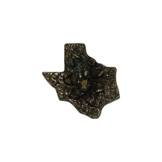 TEXAS アルマジロ ピンズ テキサス州 地図型 留め具付き