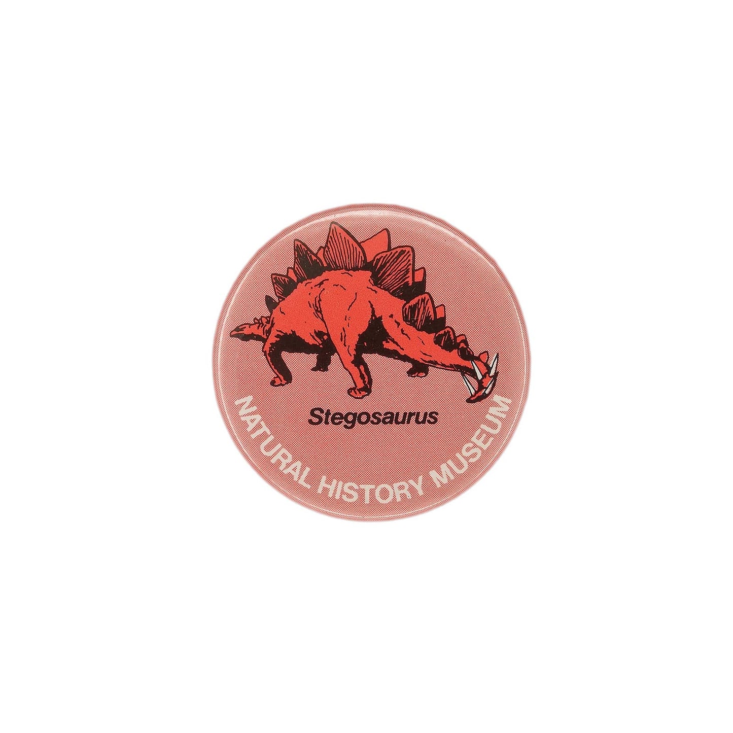 Stegosaurus 恐竜 ステゴサウルス 缶バッジ NATURAL HISTORY MUSEUM