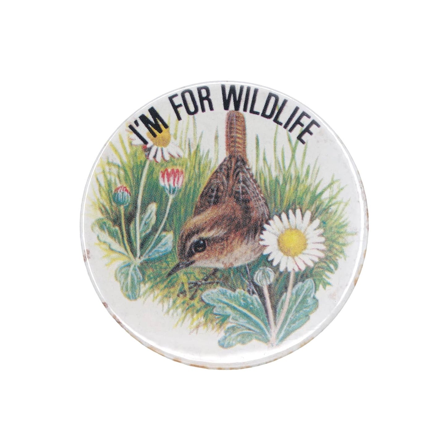 I'M FOR WILDLIFE ミソサザイ 鳥 缶バッジ バッチ