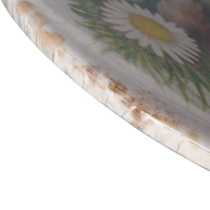 I'M FOR WILDLIFE ミソサザイ 鳥 缶バッジ バッチ