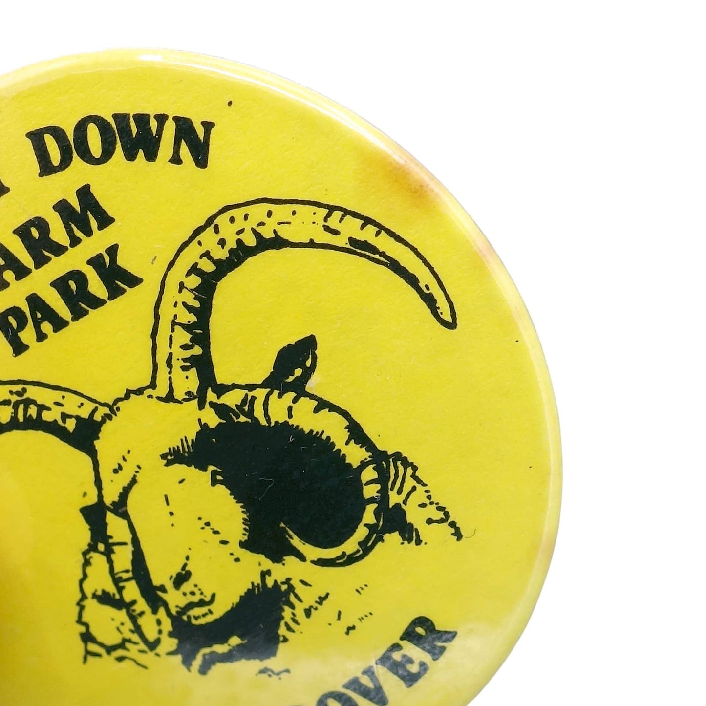 ひつじ FINKLEY DOWN FARM PARK フィンクリー・ダウン・ファーム 缶バッジ バッチ