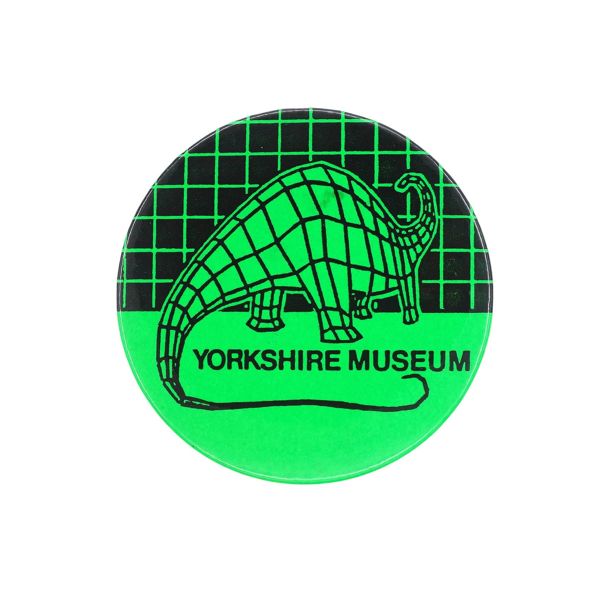YORKSHIRE MUSEUM ヨークシャー博物館 恐竜 缶バッジ ビンテージ 缶バッチ レトロ