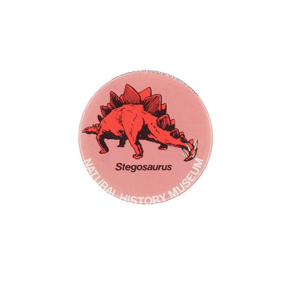 Stegosaurus 恐竜 ステゴサウルス ヴィンテージ 缶バッジ イギリス NATURAL HISTORY MUSEUM レトロ 缶バッチ