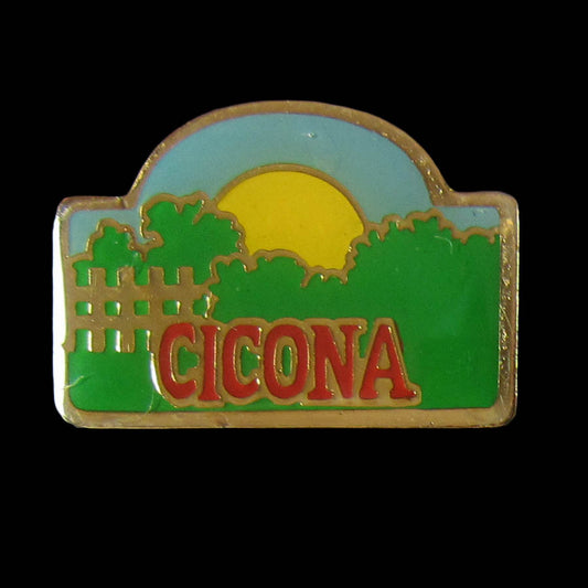 ピンズ CICONA コーヒー 留め具付き レトロ