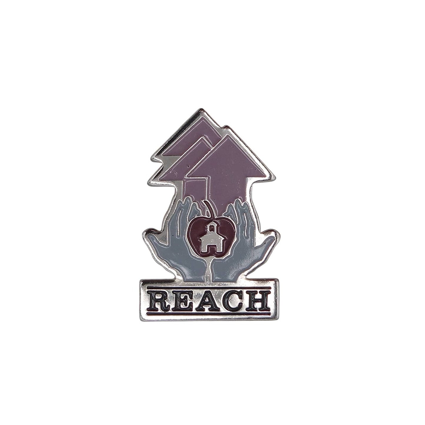 REACH ピンズ 教育