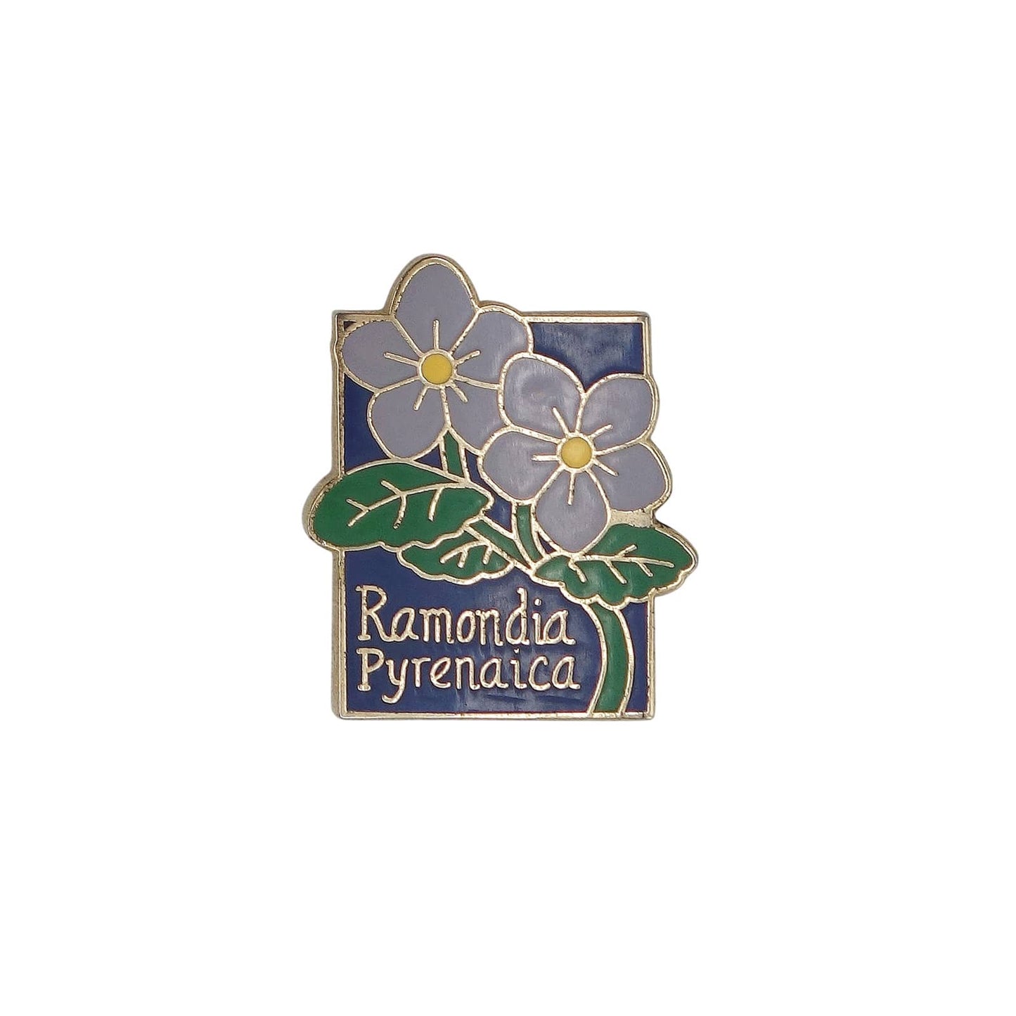 Ramondia Pyrenaica ラモンディア・ピレナイカ 花 ピンズ