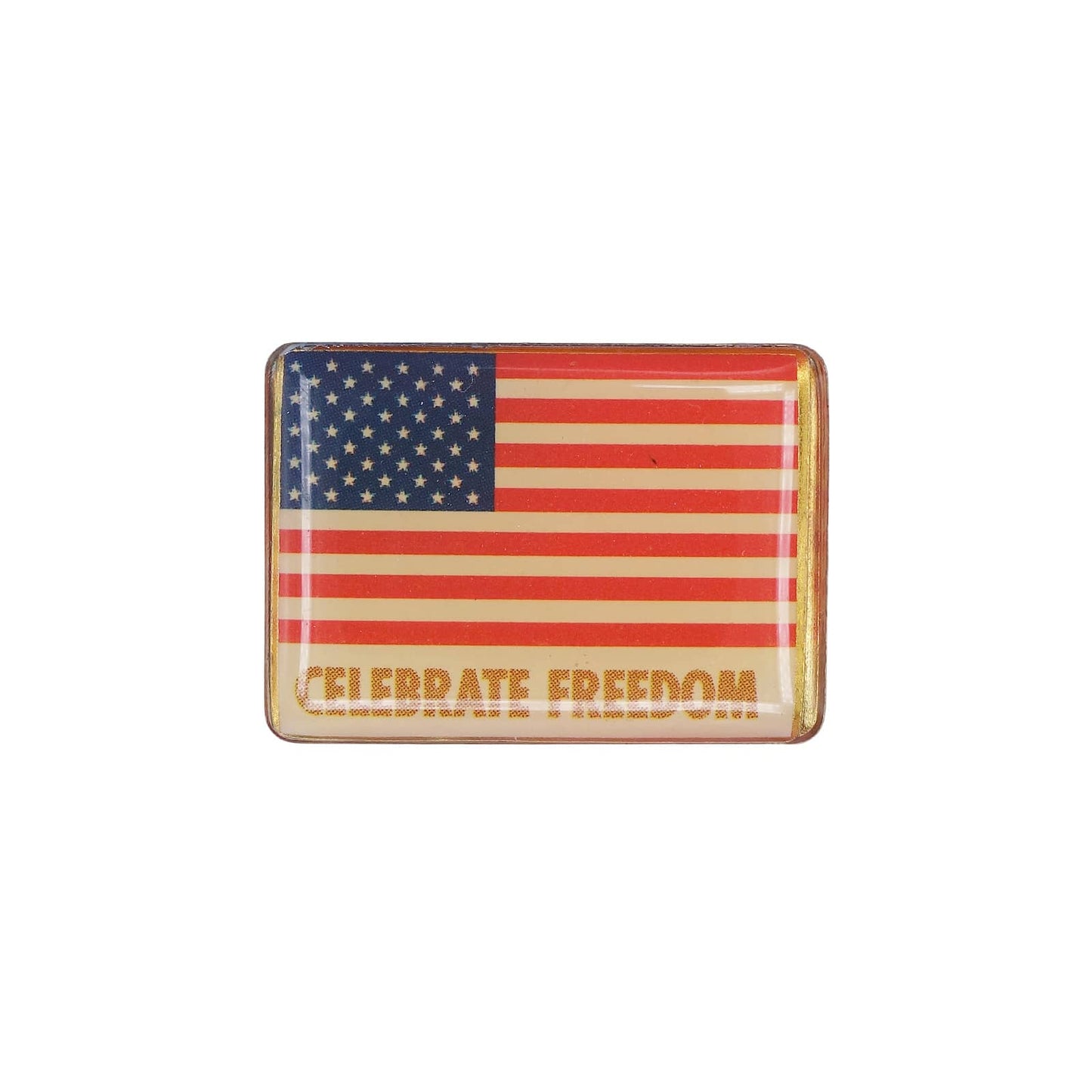 CELEBRATE FREEDOM 星条旗 ピンズ