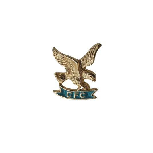 CFC イーグル ピンズ Combined Federal Campaign