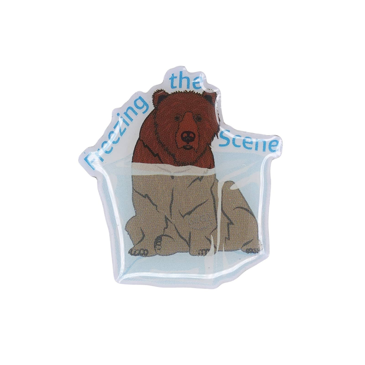 Freezing the Scene クマ ピンズ ピンバッチ
