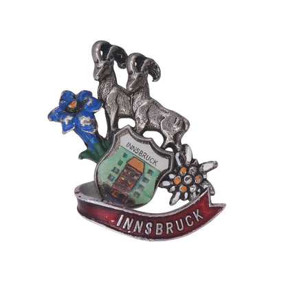 INNSBRUCK オーストリア インスブルック チロル ビンテージ ピンズ アイベックス エーデルワイス アクセサリー ピンバッチ